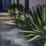 度假居 Tiny Pool House 维尔